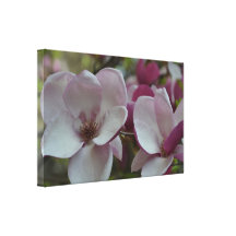 Flor da árvore de tulipa impressão de canvas envolvidas
