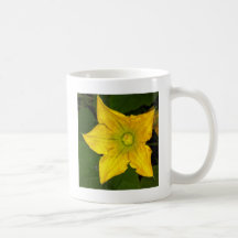 Flor da polpa caneca
