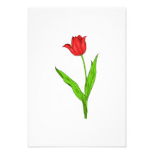 Flor da rosa vermelha convites personalizados