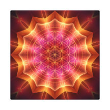 flor da vida com a mandala cor-de-rosa dourada impressão de canvas envolvida