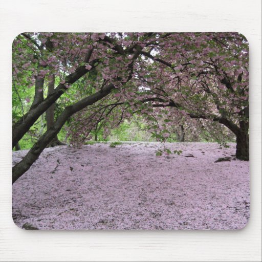 Flor de cerejeira Mousepad geral