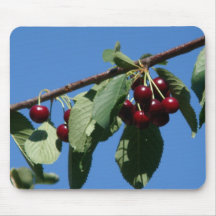 Flor de cerejeira mousepads