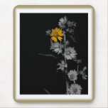 Flor de compasso do vintage mousepad