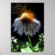 Flor do éter poster