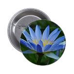 Flor e significado de Lotus Boton