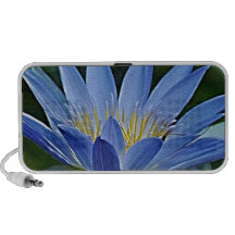 Flor e significado de Lotus Caixinha De Som