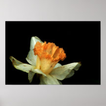 Flor na silhueta posters