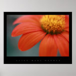FLOR POSTERS