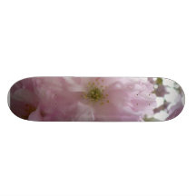 Flor roxa brilhante de florescência da árvore na á skates personalizados