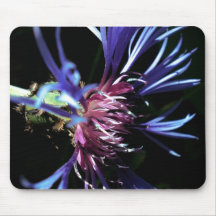 Flor roxa Mousepad
