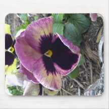 Flor roxa selvagem de Texas Mouse Pad
