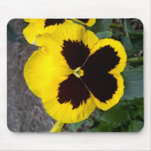 Flor selvagem amarela de Texas Mousepad