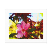 flor solitária impressão de canvas esticada