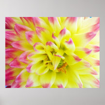FLORAL BONITO IMPRESSÃO