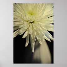 floral posters