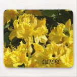 Flores amarelas brilhantes de Rhodies do mousepad 