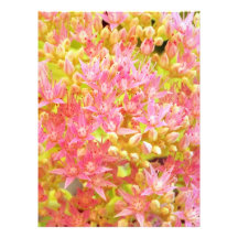 flores foto arte