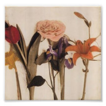 flores impressão fotográficas