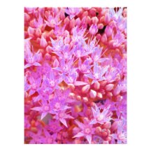 flores foto arte