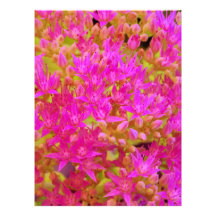 flores impressão de foto