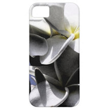 Flores artísticas do Plumeria iPhone 5 Capas