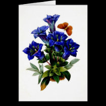 Flores azuis postais