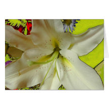 Flores brancas cartoes