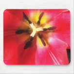 Flores Center brancas da estrela Mousepad
