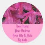 Flores cor-de-rosa adesivo