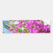 Flores cor-de-rosa de Bush Adesivo
