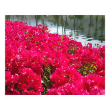 Flores cor-de-rosa foto artes