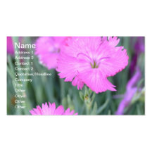 Flores cor-de-rosa modelo cartão de visita