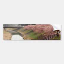 Flores da árvore de cereja em Japão Adesivos