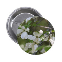 flores da madeira do cão pins
