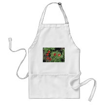 Flores da papoila de milho (Papaver Rhoeas) Avental