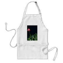 Flores de Barleana (Masdevallia) Avental