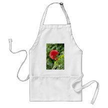 Flores de Calliandra Inaquilatera (sopro de pó) Avental