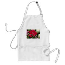 Flores de Indicum do Cyclamen Avental