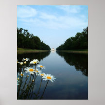 Flores de Nymphenburg Posters