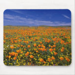 Flores do campo da papoila mousepads