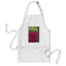 Flores do Celosia (Celosia) Aventais