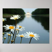 Flores do palácio posters