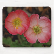 Flores do primavera mouse pads