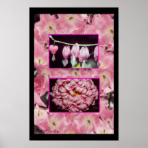 "FLORES DO ROSA " POSTER