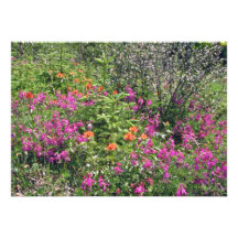 Flores dos Wildflowers da montanha Convites Personalizados