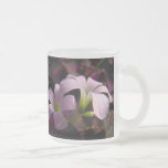 Flores roxas de Oxalis Caneca