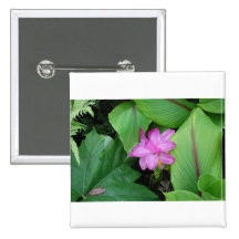 Flores tropicais botons
