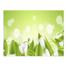 Flores verdes e brancas cartao postal