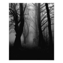 Floresta da névoa artes de fotos