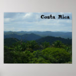 floresta húmida impressão